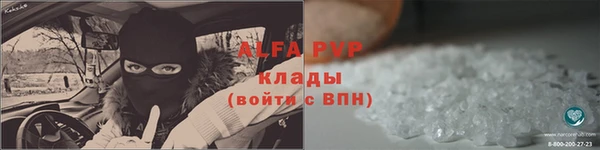 ПСИЛОЦИБИНОВЫЕ ГРИБЫ Верхнеуральск