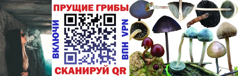 Псилоцибиновые грибы Psilocybine cubensis kraken онион Уссурийск