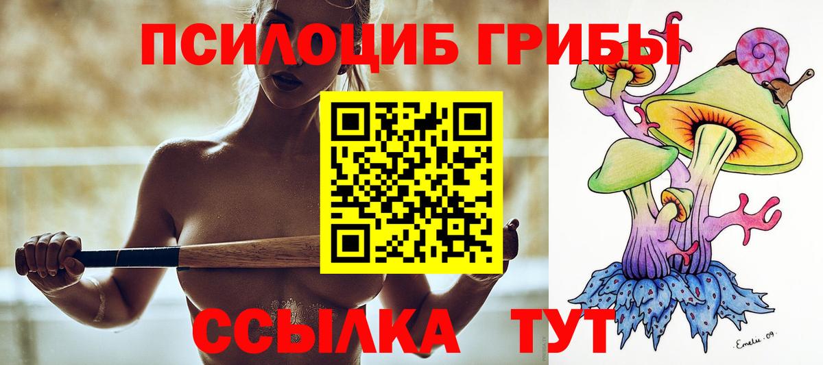 Псилоцибиновые грибы GOLDEN TEACHER Уссурийск